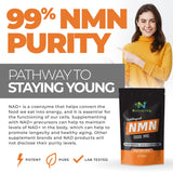 Nicotinamide Mononucleotide (NMN Supplement)
