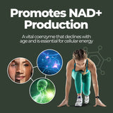 NMN (Nicotinamide Mononucleotide) Nutrality