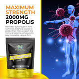 Bee Propolis Nutrality