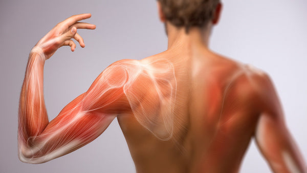 Potassium Citrate: A Scientific Look at Its Key Benefits