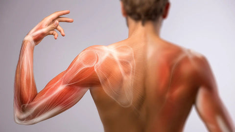 Potassium Citrate: A Scientific Look at Its Key Benefits Nutrality