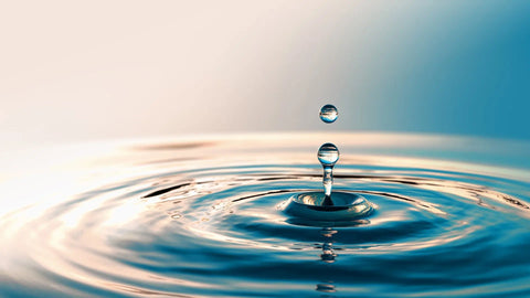 Nutrality Liquid Hyaluronic Acid: The Daily Glow & Joint Support Supplement You Didn’t Know You Needed Nutrality