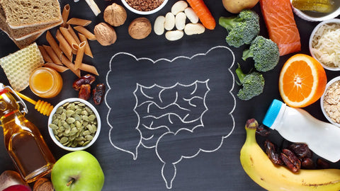 Akkermansia: The Next Generation Probiotic for Gut Health Nutrality