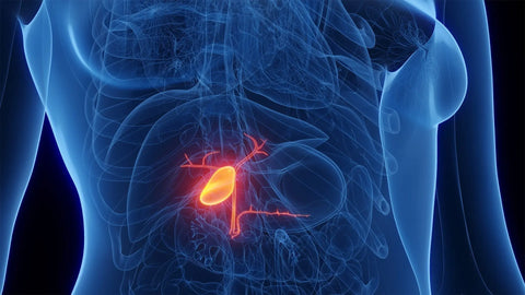 Struggling with bloated, heavy meals? Your bile flow may be the hidden key Nutrality