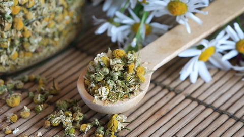 Discover the Power of Apigenin: Boost Antioxidants and Cell Protection In Your Body Nutrality