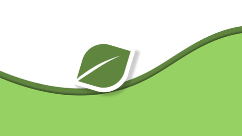A green stylized leaf icon layered over a curved green wave on a white background, functioning like a generic graphic placeholder rather than a photographed physical product.