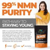 Nicotinamide Mononucleotide (NMN Supplement)